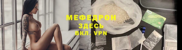 индика Абаза