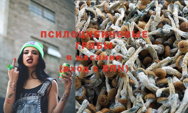 ГАЛЛЮЦИНОГЕННЫЕ ГРИБЫ Алексин