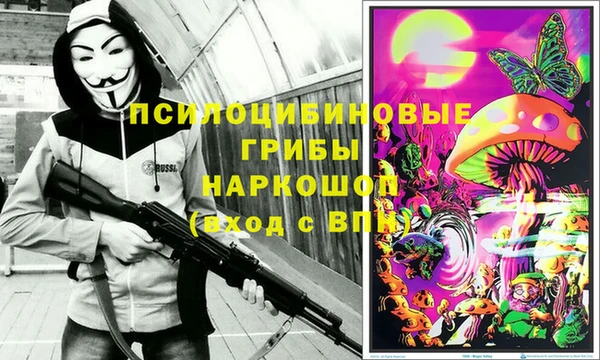 ГАЛЛЮЦИНОГЕННЫЕ ГРИБЫ Алексин