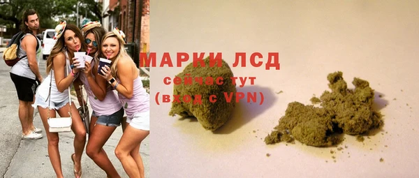 ГАЛЛЮЦИНОГЕННЫЕ ГРИБЫ Алексин