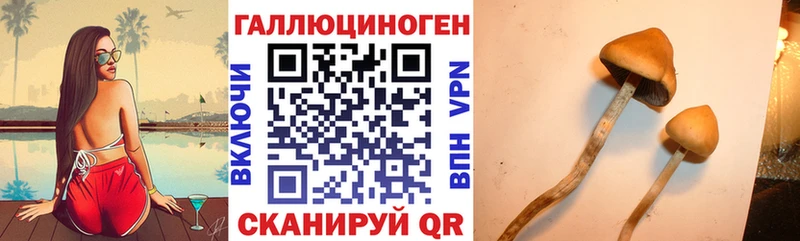 цена наркотик  Катайск  KRAKEN как зайти  Галлюциногенные грибы GOLDEN TEACHER 